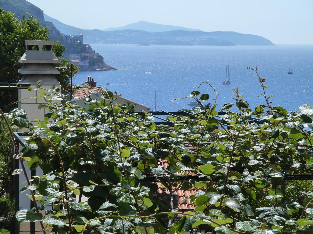 Panoramic Apartment Lujak Dubrovnik Exteriör bild